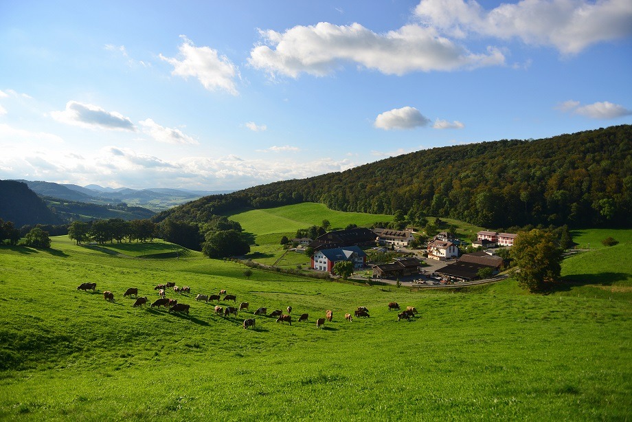 Blick hinter die Kulissen